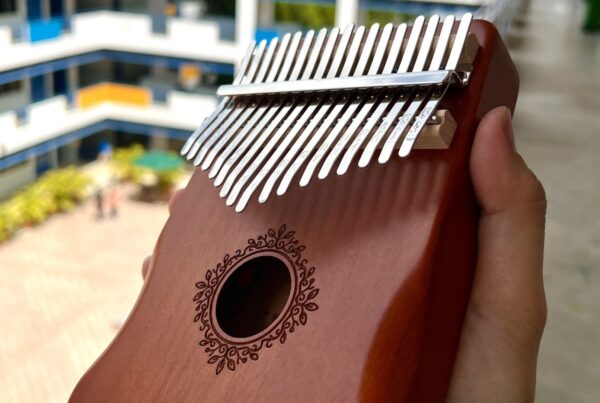 Kalimba in Primary School