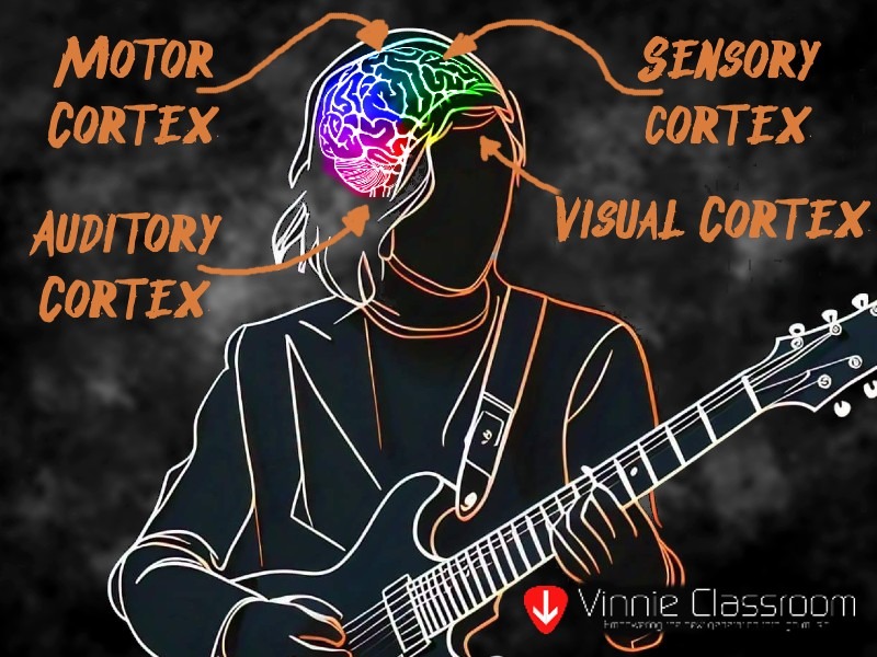 music lessons trains all parts of the brain
