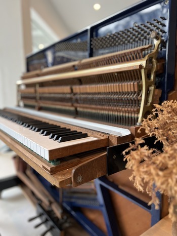 piano repairs singapore