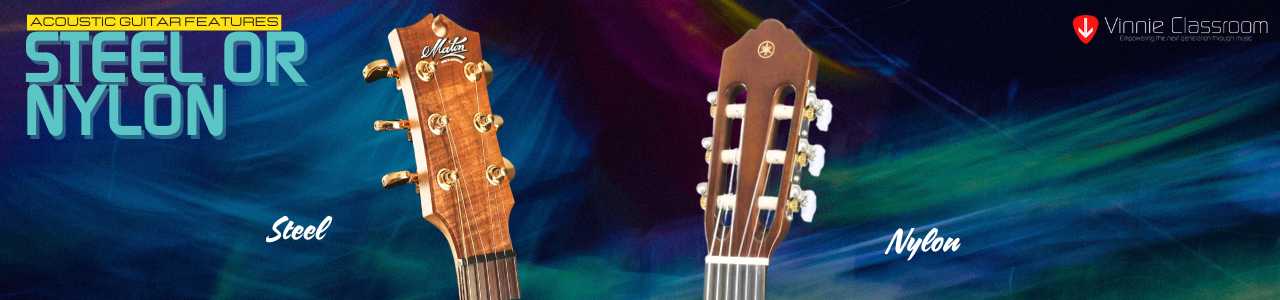 Steel string or Nylon string guitar