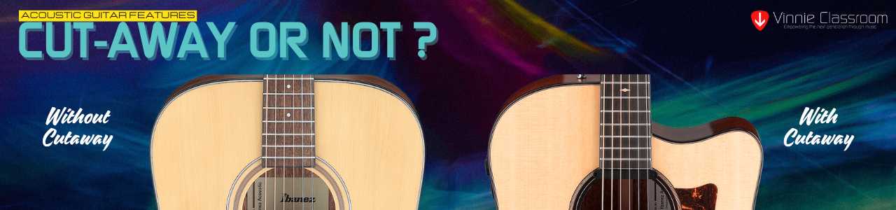 acoustic guitar cut-away or no cut-away